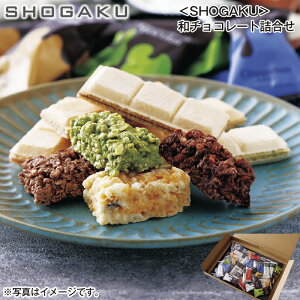 SHOGAKUa`R[gl  Mtg v[g   yY (r[L300~OFFN[|zz)