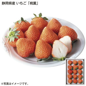 ÉY@uOv  Mtg v[g   yY (r[L300~OFFN[|zz)