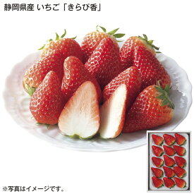 静岡県産　いちご「きらぴ香」 送料込み ギフト プレゼント 贈答 お取り寄せ お土産 (レビュー記入で300円OFFクーポン配布中)
