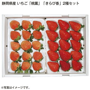 ÉY@uOvuҍv2Zbg  Mtg v[g   yY (r[L300~OFFN[|zz)