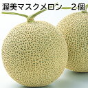 渥美マスクメロン 1.5kg×2 1.6kg×3 送料込み ギフト プレゼント 贈答 お取り寄せ お土産 (レビュー記入で300円OFFクーポン配布中)