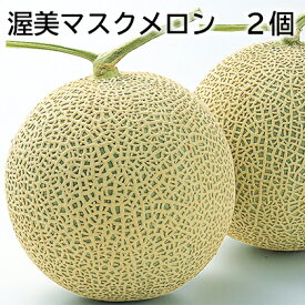 渥美マスクメロン 1.5kg×2 1.6kg×3 送料込み ギフト プレゼント 贈答 お取り寄せ お土産 (レビュー記入で300円OFFクーポン配布中)