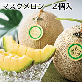 マスクメロン マスクメロン 2個入 ビッグマスクメロン 2個入 送料込み ギフト プレゼント 贈答 お取り寄せ お土産 (レビュー記入で300円OFFクーポン配布中)