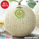 お中元 マスクメロン 1個 2個 ビッグマスクメロン2個 御中元 夏ギフト ギフト 贈答 送料込み お取り寄せ お土産 (レビュー記入で300円OFFクーポン配布中)