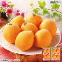 田中びわ 送料込み ギフト プレゼント 贈答 お取り寄せ お土産 (レビュー記入で300円OFFクーポン配布中)