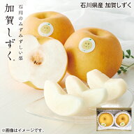 石川県産　加賀しずく 送料込み ギフト プレゼント 贈答 お取り寄せ お土産 (レビュー記入で300円OFFクー…