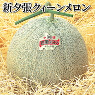 新夕張クィーンメロン 送料込み ギフト プレゼント 贈答 お取り寄せ お土産 (レビュー記入で300円OFFクー…