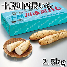 十勝川西長いも 2．5kg 5kg 送料込み ギフト プレゼント 贈答 お取り寄せ お土産 (レビュー記入で300円OFFクーポン配布中)