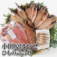 小田原はやせ　ひもの詰合せ 送料込み ギフト プレゼント 贈答 お取り寄せ お土産 (レビュー記入で300円O…