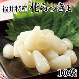 福井特産花らっきょ　10袋 送料込み ギフト プレゼント 贈答 お取り寄せ お土産 (レビュー記入で300円OFFクーポン配布中)