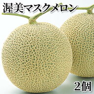 渥美マスクメロン 2個 3個 送料込み ギフト プレゼント 贈答 お取り寄せ お土産 (レビュー記入で300円OFF…