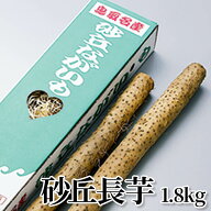 砂丘長芋 1.8kg 3kg 送料込み ギフト プレゼント 贈答 お取り寄せ お土産 (レビュー記入で300円OFFクーポ…