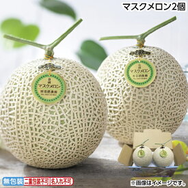 お中元 マスクメロン 2個 ビッグマスクメロン2個 御中元 夏ギフト ギフト 贈答 送料込み 送料込み ギフト プレゼント 贈答 お取り寄せ お土産 (レビュー記入で300円OFFクーポン配布中)
