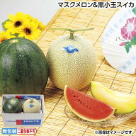 お中元 マスクメロン＆黒小玉スイカ 御中元 夏ギフト ギフト 贈答 送料込み 送料込み ギフト プレゼント …