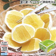 夏小夏（ナツコナツ）家庭用3kg 送料込み 送料込み ギフト プレゼント 贈答 お取り寄せ お土産 (レビュー…