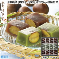 早割期間中！7/15（水）まで【通常価格4,400円⇒4,180円】お中元 ＜恵那清月堂＞しぶ栗水ようかん2種詰合…