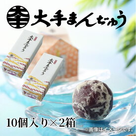 大手まんぢゅう 10個 15個 20個 10×2個 手提袋付 送料込み ギフト プレゼント 贈答 お取り寄せ お土産 (レビュー記入で300円OFFクーポン配布中)