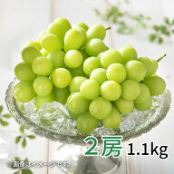 シャインマスカット 2房(1.1kg) 4房(2.5kg) 送料込み ギフト プレゼント 贈答 お取り寄せ お土産 (レビュ…