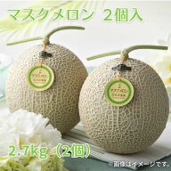 メロン マスクメロン 2個入 ビッグマスクメロン 2個入 送料込み ギフト プレゼント 贈答 お取り寄せ お土…