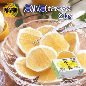 お中元 夏小夏（ナツコナツ） 2kg 3kg 御中元 夏ギフト ギフト 贈答 送料込み 送料込み ギフト プレゼント 贈答 お取り寄せ お土産 (レビュー記入で300円OFFクーポン配布中)