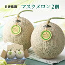 お中元 マスクメロン 2個 ビッグマスクメロン2個 御中元 夏ギフト ギフト 贈答 送料込み 送料込み ギフト プレゼント …