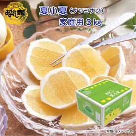 夏小夏（ナツコナツ）家庭用3kg 送料込み 送料込み ギフト プレゼント 贈答 お取り寄せ お土産 (レビュー記入で300円OFFクーポン配布中)