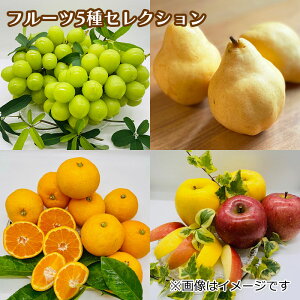 ymygiftzt[c5ZNV@ Mtg v[g   yY (r[L300~OFFN[|zz)