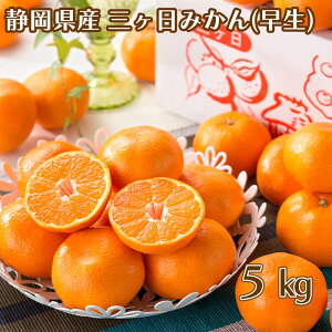 OP݂ij 3.5kg 5kg  Mtg v[g   yY (r[L300~OFFN[|zz)