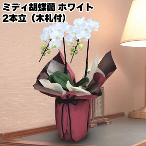 JԒd ~fBӒ 2{i؎Dtj zCg sNn  Mtg v[g   yY (r[L300~OFFN[|zz)