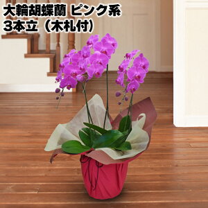 JԒd ֌Ӓ 3{i؎Dtj zCg sNn  Mtg v[g   yY (r[L300~OFFN[|zz)