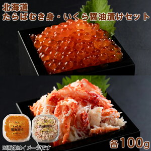 ΂ނgEݖЂ e100gZbg  Mtg v[g   yY (r[L300~OFFN[|zz)