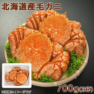 kCYуKj700g i2tj  Mtg v[g   yY (r[L300~OFFN[|zz)