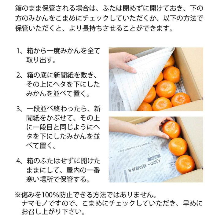 楽天市場】三ヶ日みかん 2．3kg ギフト プレゼント 贈答 お 