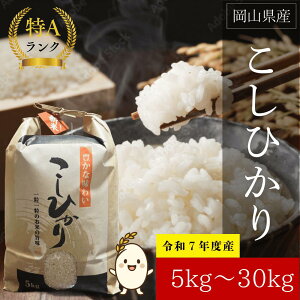 yVāzyߘa7NxYzЂ@_ƒց@RkY 5kgE10kgE30kgiāj