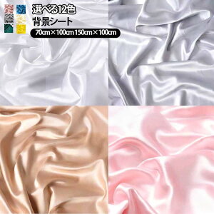 �I�ׂ�12�F �B�e�p �w�i�z �I�ׂ�12�F �w�i�X�N���[�� 70cm×100cm �ʐ^�B�e 150cm×100cm �w�i�V�[�g YouTube �X�^�W�I ����B�e �I�����C����c �e�����[�N �������� �u���� �V�[�c �e�[�u���N���X ��
