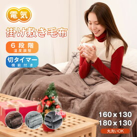 「300円クーポンあり」電気毛布 掛け敷き 両面フランネル 大判188×130/160×130cm ダブル 洗える タイマー付き 6段階温度 抗菌防臭 ダニ退治 過熱保護 丸洗い 電気ひざ掛け ブランケット 電気敷き毛布 厚手 省エネ