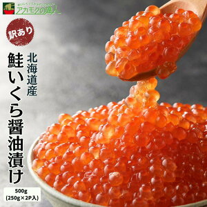 ݖЂ [ 1F250g×2P ] /  CN 500g ϔ Ⓚ  kCY Y   Ε 