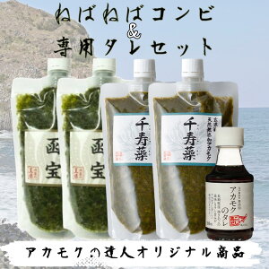 yX[p[Z[zAJN̒Bl EYAJN  × َYߍz  Ⓚ `[u erCM ʔ 