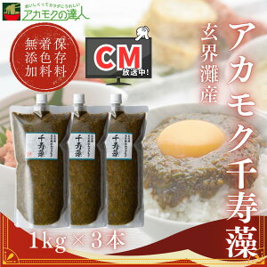 アカモク 千寿藻 1kg×3本 / 玄界灘産 産直の鉄人 保存料・着色料無添加 キャップ付き チューブ入り 大容量 3000g 3kg あかもく ぎばさ 送料無料 フコイダン フコキサンチン 海藻 食物繊維 おつま