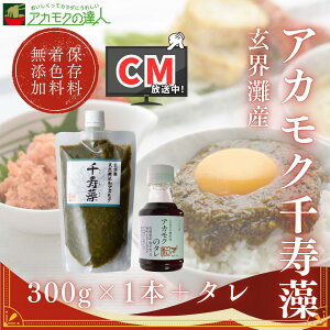 yzAJN  300g ^t / EY Y Y̓Sl ۑYEF Lbvt `[u  ΂ MoT {Cς ʂ  C H@ 