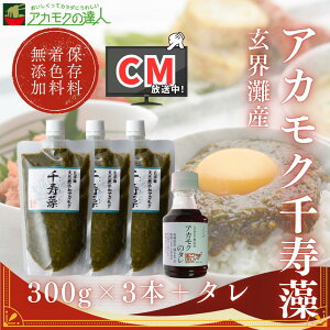 AJN  300g×3{+p^ / EY Y Y̓Sl ۑYEF Lbvt e `[u 900g  ΂ MoT {Cς ʂ  C H@ 