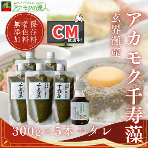 AJN  300g×5{+p^ / EY Y Y̓Sl ۑYEF Lbvt e `[u 900g  ΂ MoT {Cς ʂ  C H@ 