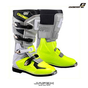 yK㗝XzKGl GX-J W[GbNXWFC O[/CG[ / GAERNE It[hu[c qp p gNX C^A