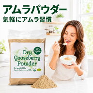 【anan掲載】100%オーガニック グーズベリー(アムラ)パウダー100g(簡易パック) スーパーフード ビタミンC…
