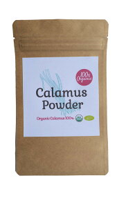 yVir[Ly[Ώہz100%I[KjbN 傤ԍ pE_[ 100g (Acorus Calamus Root / Sweet Flag Root / Vacha ) _ RȐ@  bNX   A[F[_ 傤ԓ 