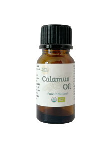 100%I[KjbN ō JX (Ҋ) IC | Organic Calamus Oil Acorus calamus VEu Ҋ XC[gtbO100% VR  _ ȊOY A} GbZVIC  n[u