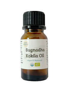 q}__YXK_RLgp ݂̂XpCV[ȍ Viv킹XC[gȍƃEbfBȒay߂i ȊOY ăI[KjbNKi擾