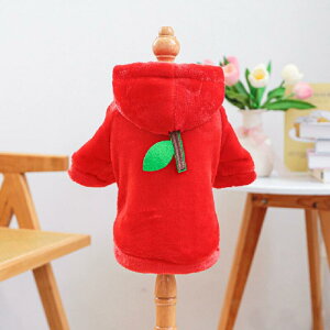  hbOEFA @ H~ t[cȂ@SApCibvAhSt[c@A䕁@Nс@ h@Xqt@p[J[