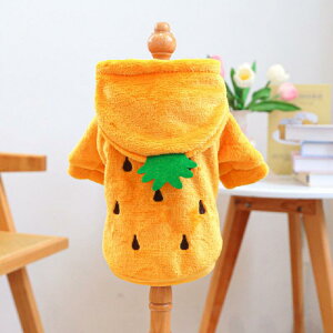  hbOEFA @ H~ t[cȂ@SApCibvAhSt[c@A䕁@Nс@ h@Xqt@p[J[