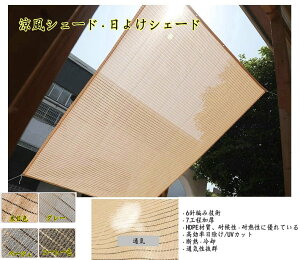 VF[h 悯VF[h Rt ډB ʋC UVJ[g  K[f I[jO 뉀 OK[f ΐA ؉p悯 @ؖڐF@x[W@O[@R[q[F